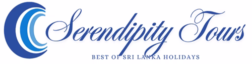 Serendipity Tours