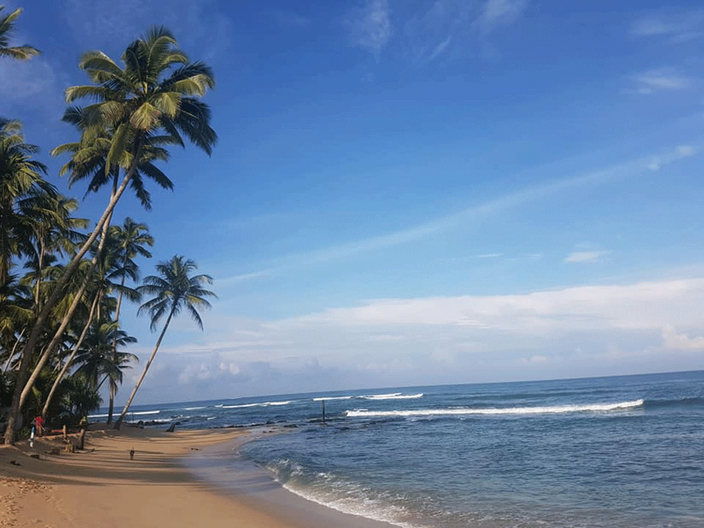 Sri Lankan Holiday Package on South coast